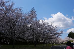 P2040757