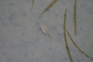 P2080341