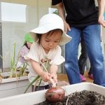 収穫 (11)