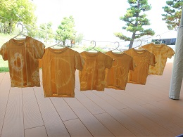 タマネギTシャツ (50)
