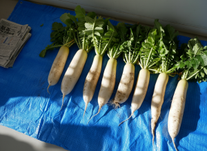 Firefly_Gemini Flash_名前を消して 587129